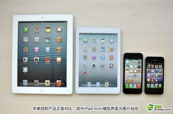 iPad-Mini-Dummy-019