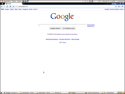 Google Chrome OS Browser