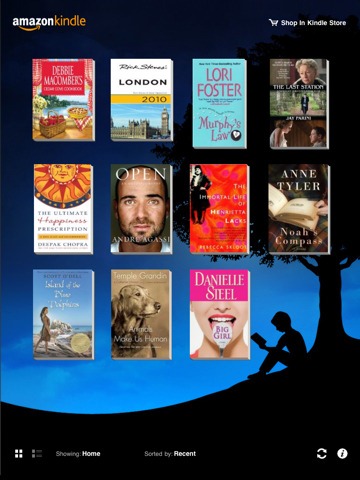 Kindle for iPad (3)