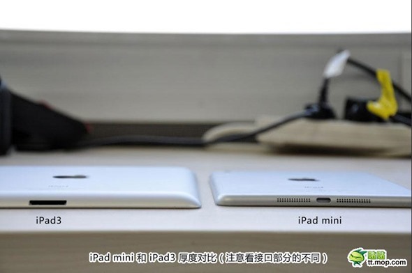 iPad-Mini-Dummy-011
