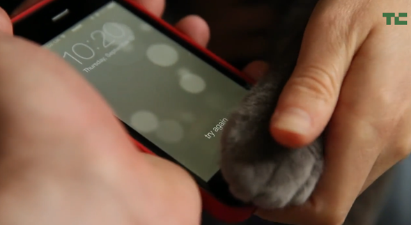 Cat Touch ID
