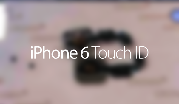 iPhone 6 Touch ID