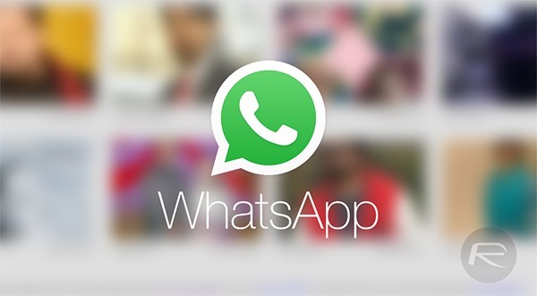 WhatsApp-web-contacts-main.jpg