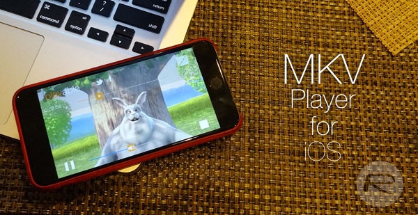 MKV Player iOS main