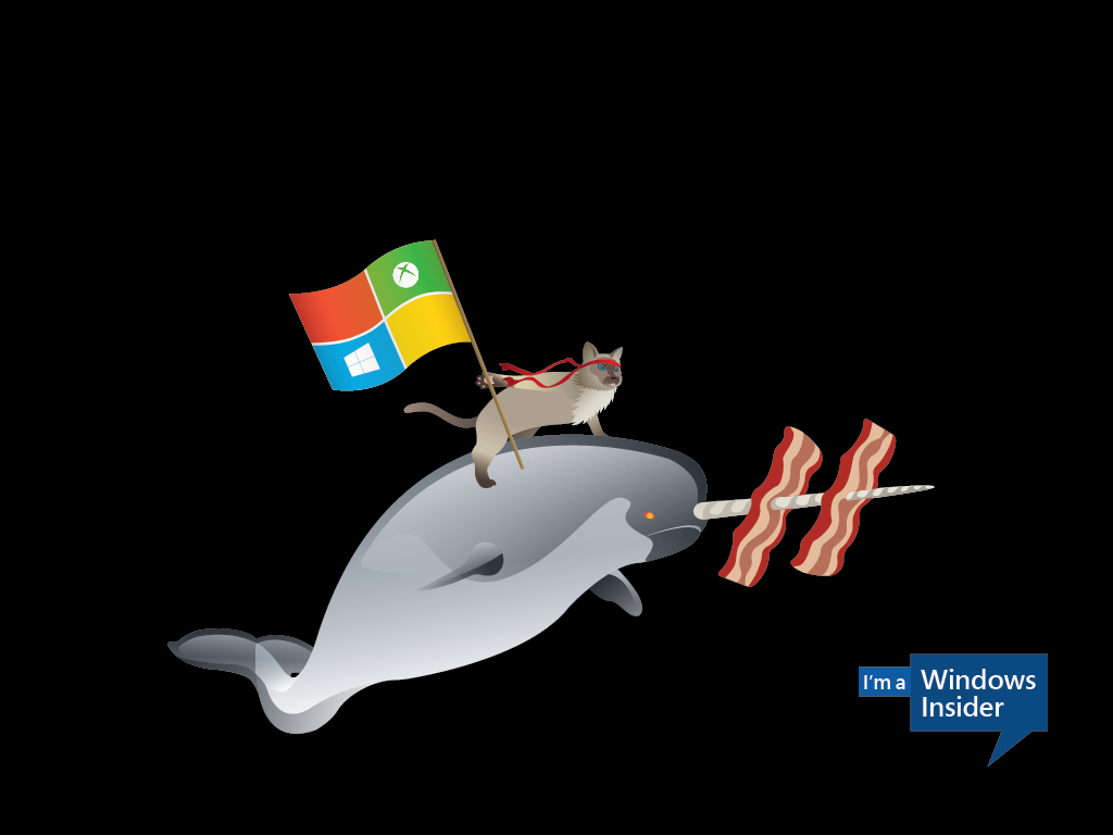Windows_Insider_Ninjacat_Narwhal-1024x768-Desktop1